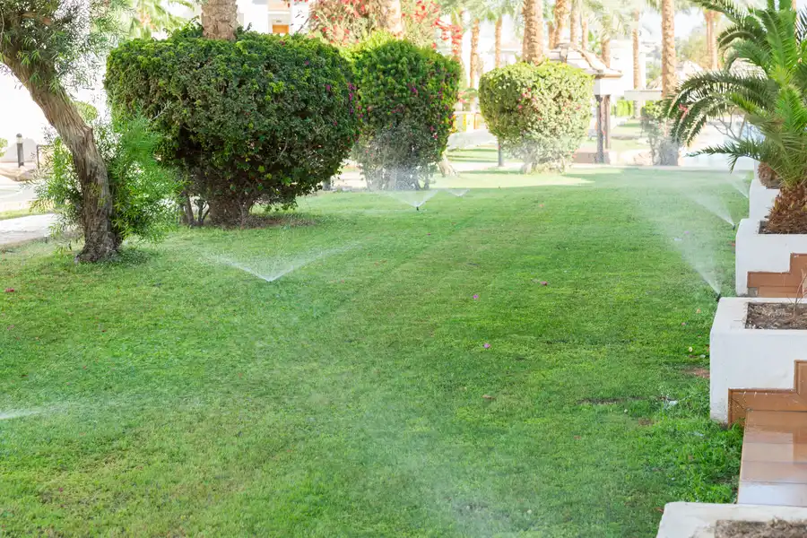 Common Causes Of Sprinkler System Malfunctions And Solutions Roosevelt, UT Common Causes Of Sprinkler System Malfunctions And Solutions Roosevelt, UT