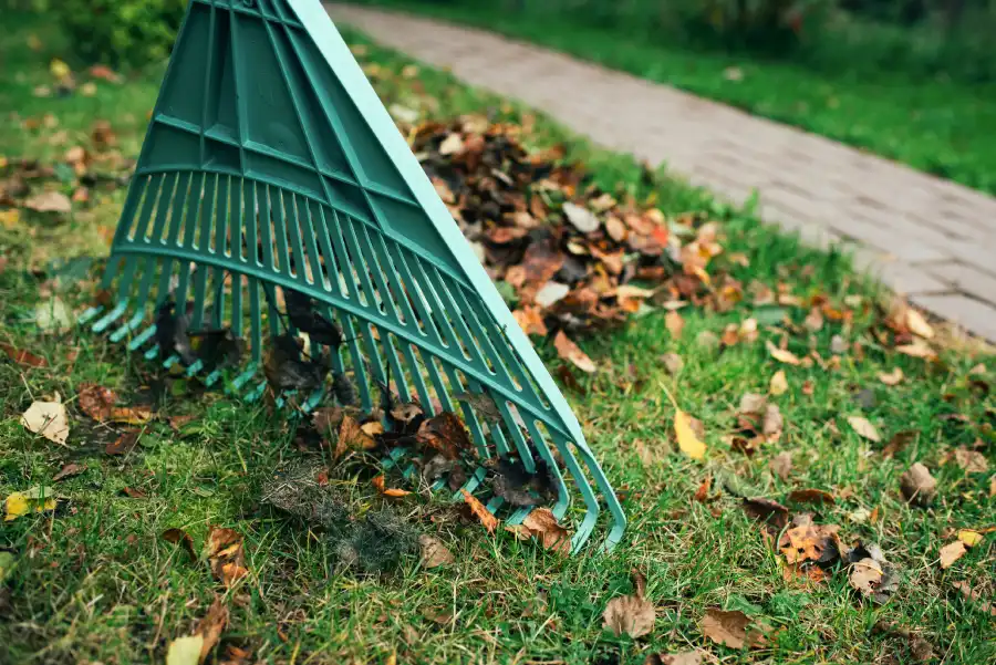 Reputable Lawn Dethatching Roosevelt, UT Reputable Lawn Dethatching Roosevelt, UT