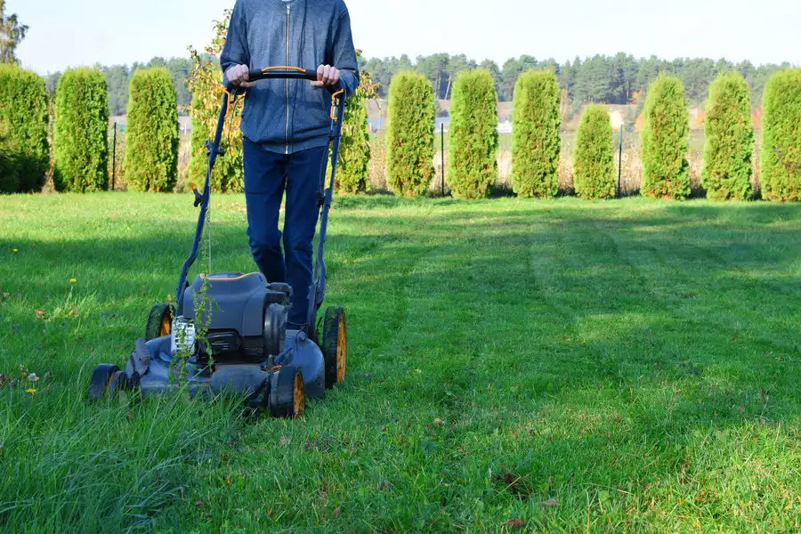 Understanding The Ideal Frequency For Lawn Mowing Roosevelt, UT Understanding The Ideal Frequency For Lawn Mowing Roosevelt, UT